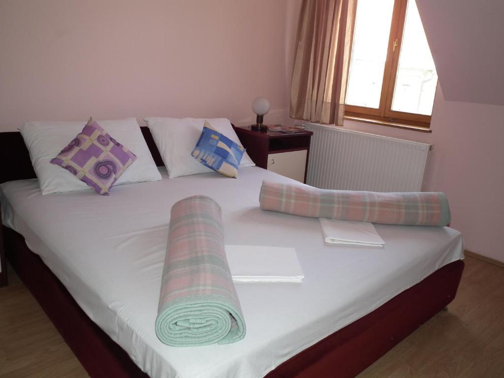 Nasa Tvrdava Guest Accommodation 노비사드 객실 사진